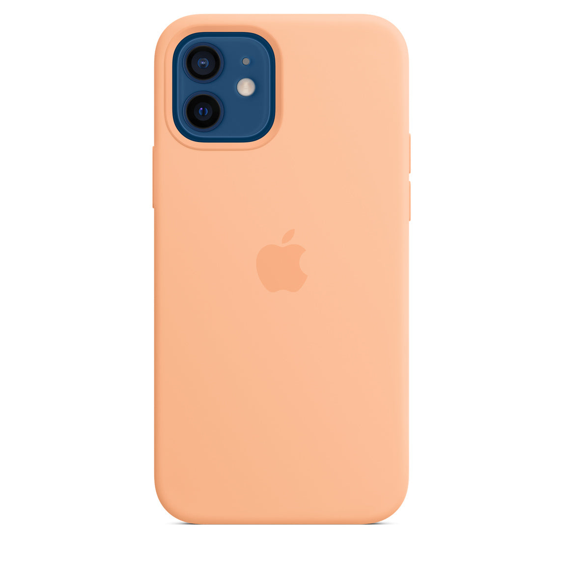 Cover silicone melone